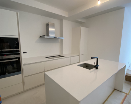 Eisenhowerlei in Borgerhout: prachtig ruim, lichtrijk appartement op de gelijkvloers