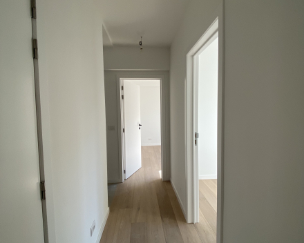 Van Campenhoutstraat in Berchem: modern, knus en lichtrijk appartement op de eerste verdieping mét garage en dakterras!