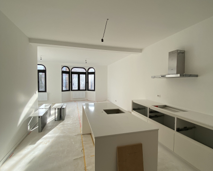 Eisenhowerlei in Borgerhout: prachtig ruim, lichtrijk appartement op de eerste verdieping
