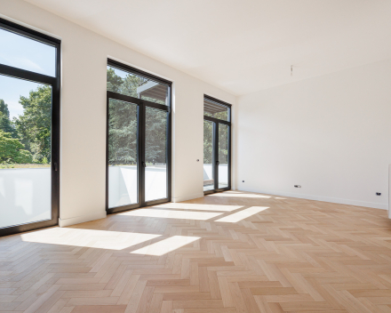 Sint-Thomasstraat in Antwerpen: totaalrenovatie van een karaktervol statig Antwerps herenhuis. 9 prachtige units in de maak!